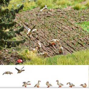 Vilde gs 8 stk. heraf 2 flyvende H0