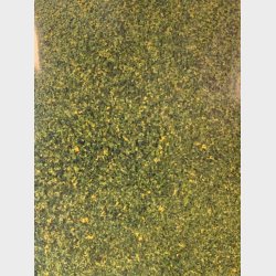 Blended Turf T49 green Woodland 