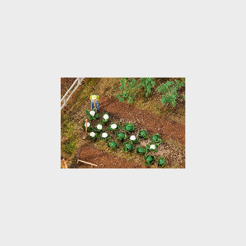 broccoli og blomk�l &agrave;10 stk