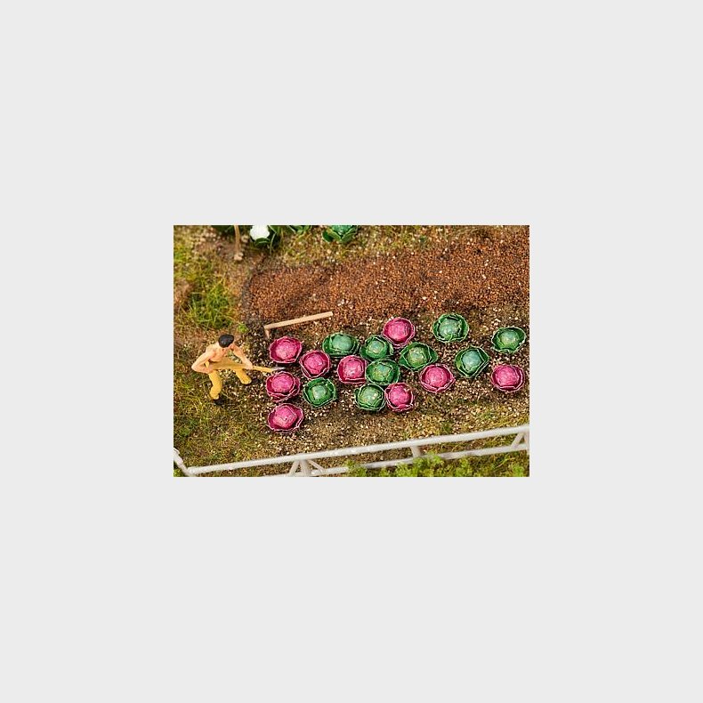 hvidk�l og r�dk�l &agrave; 10 stk.