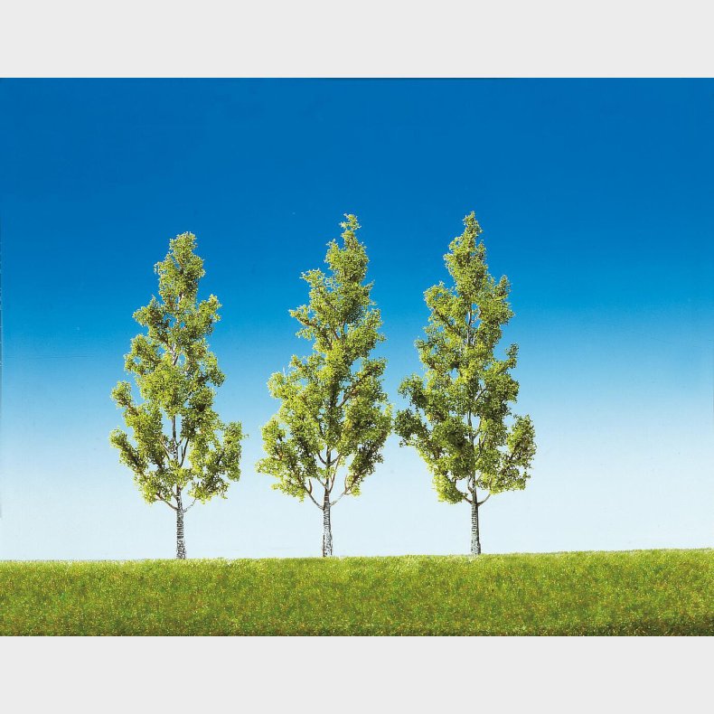 3 stk. Sandbirketr� Top Serie, 130 mm