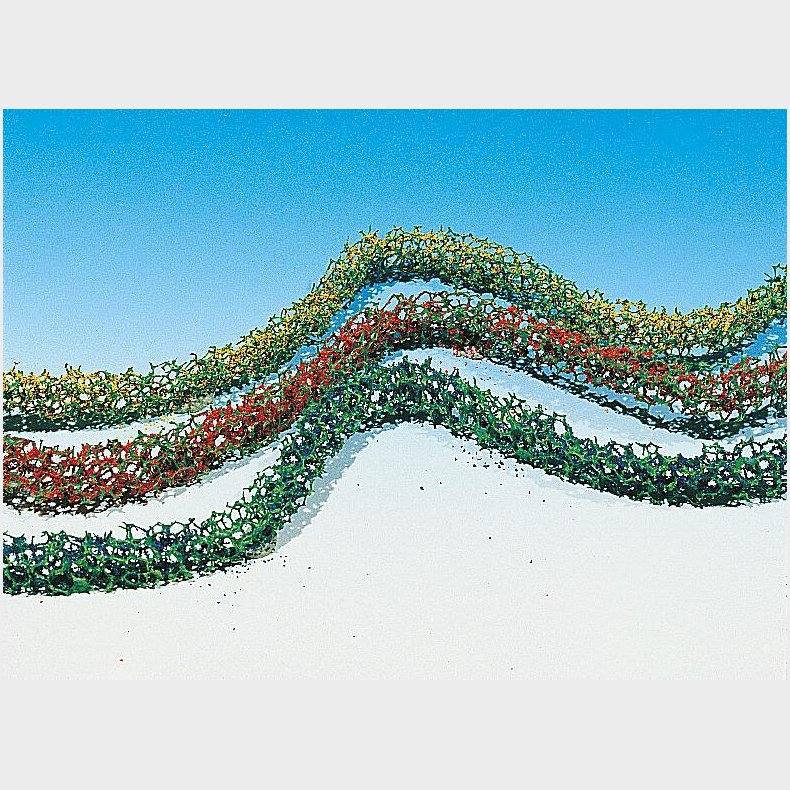 3 Hecken, 500 x 4 x 7 mm