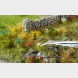 Blomster til have og bede 