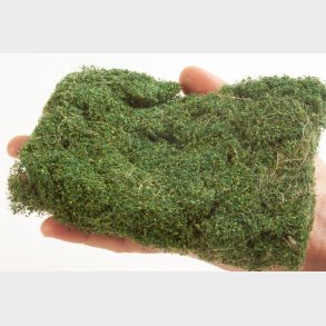 PROFI foliage mellemgr�n