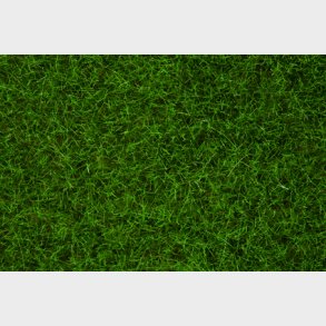 Wildgras lysgrn 6 mm