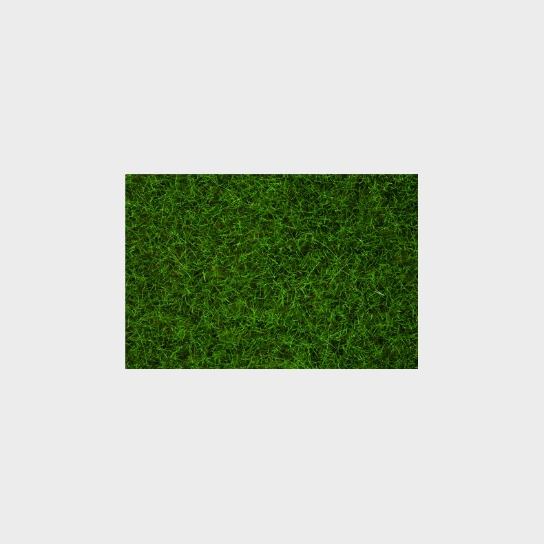 Wildgras lysgrn 6 mm