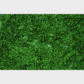 l�v, fv. mellemgr�n