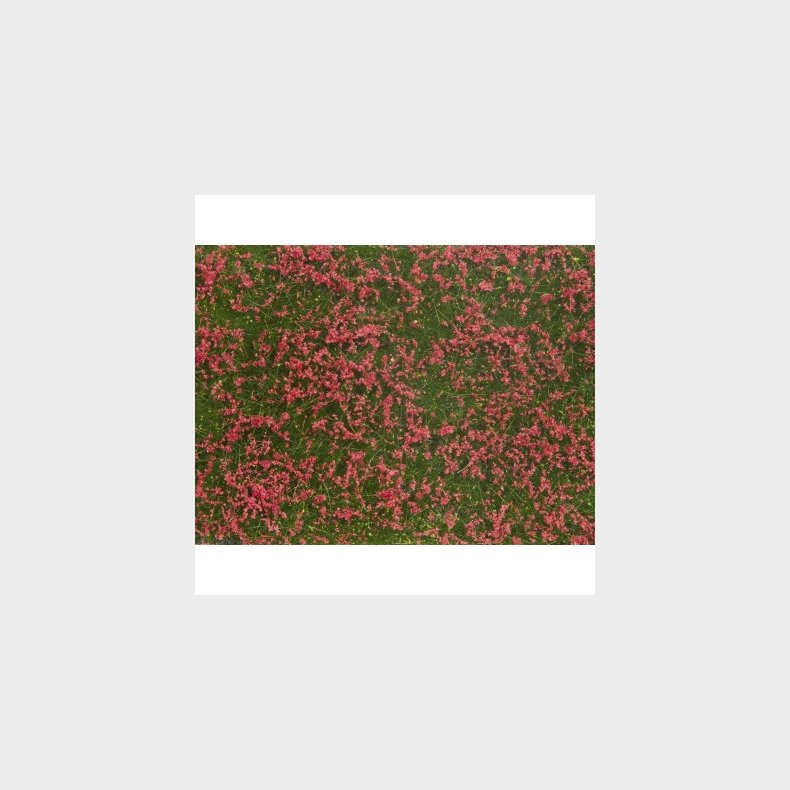 Eng R�D 12 x 18 cm