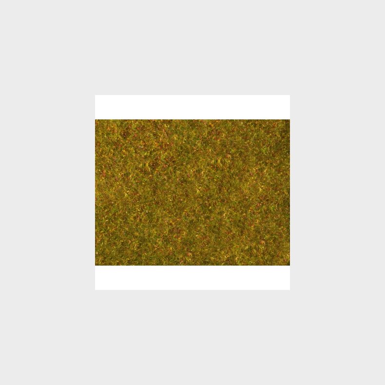 Foliage eng  "sensommer"  20 x 23 cm