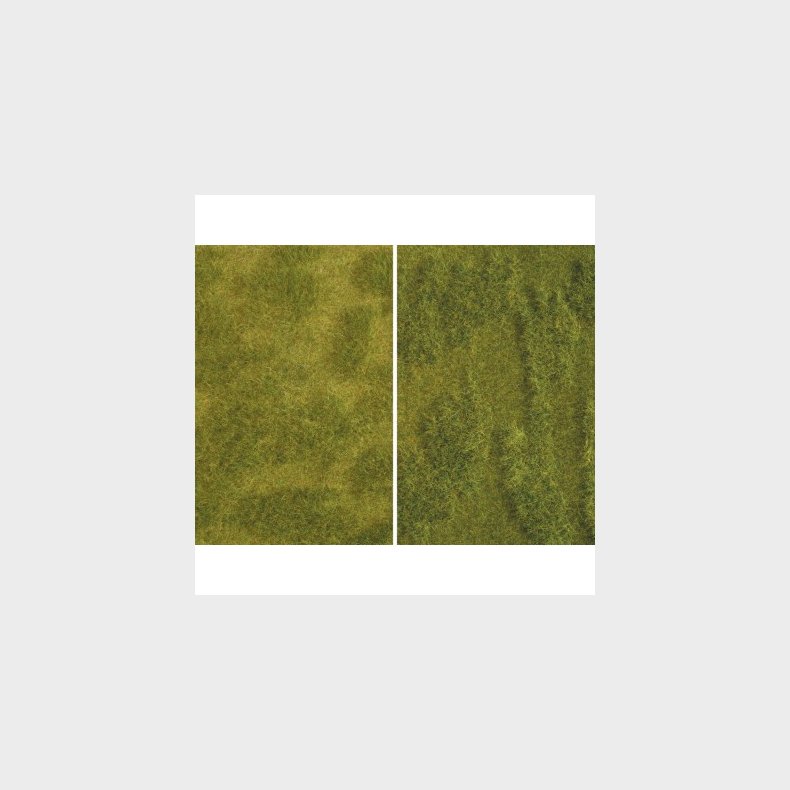 Natur+ "Saftige Wiese" 25 x 25 cm