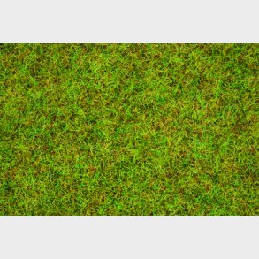 gr�s sommereng 2,5 mm 20 g