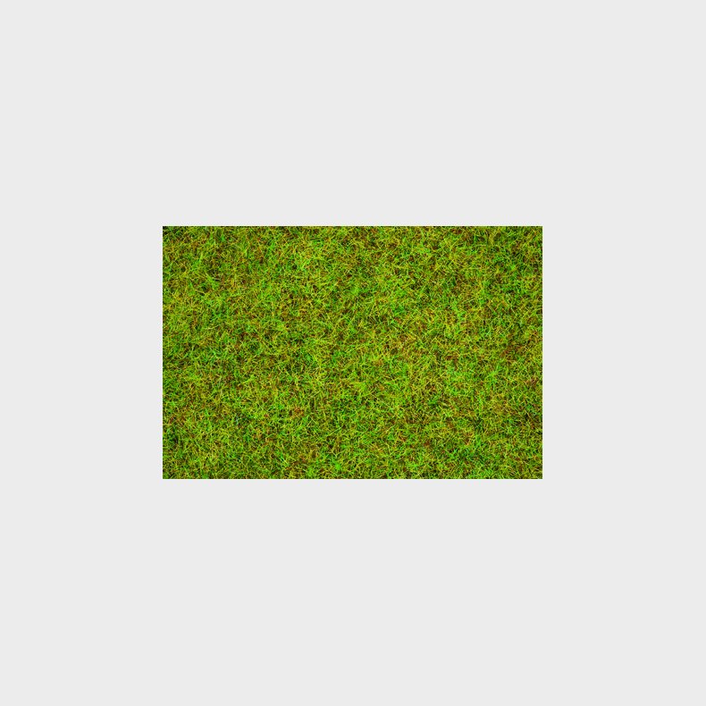 grs sommereng 2,5 mm 20 g