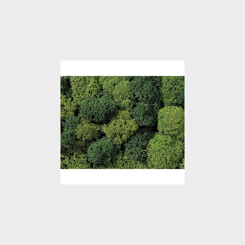 Mos lys og m�rk gr�n 35 gr.