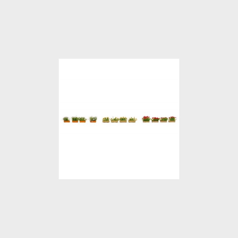 blomsterkasser i r�d, hvid og gul  12 stk. 