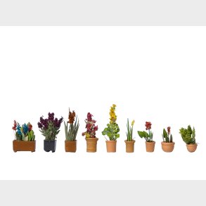 forskellige blomster i potter