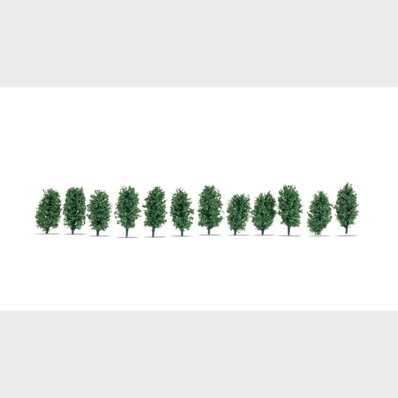 h�k af Thuja