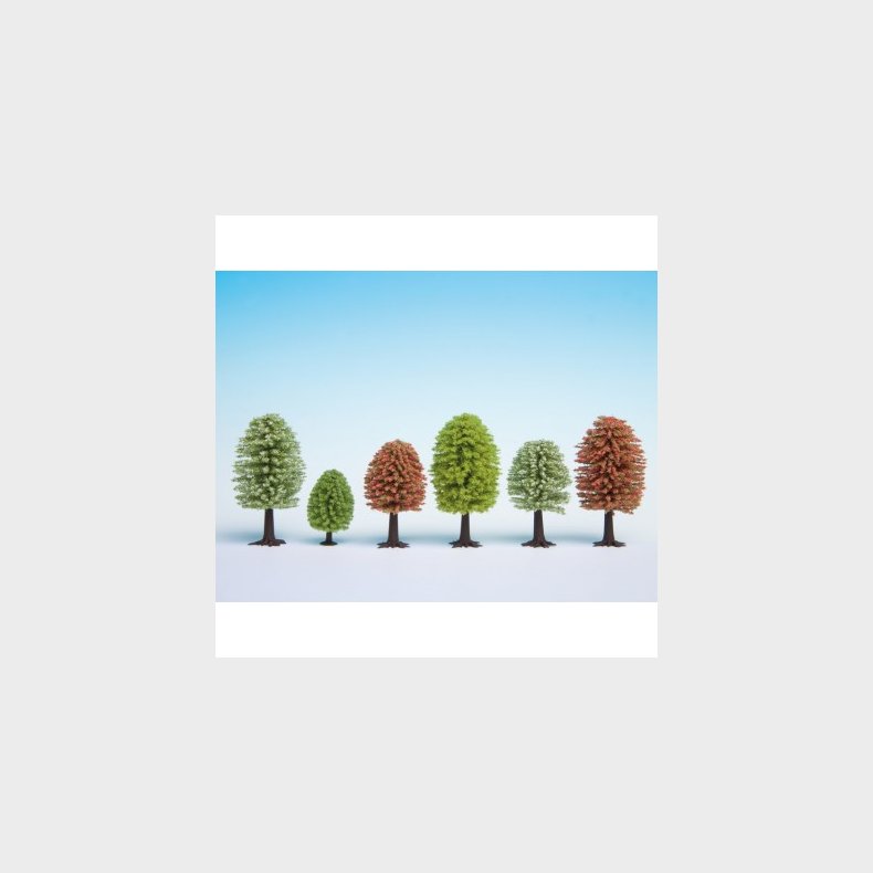 L�vtr�er "for�r"  25 St&uuml;ck, 5 - 9 cm hoch