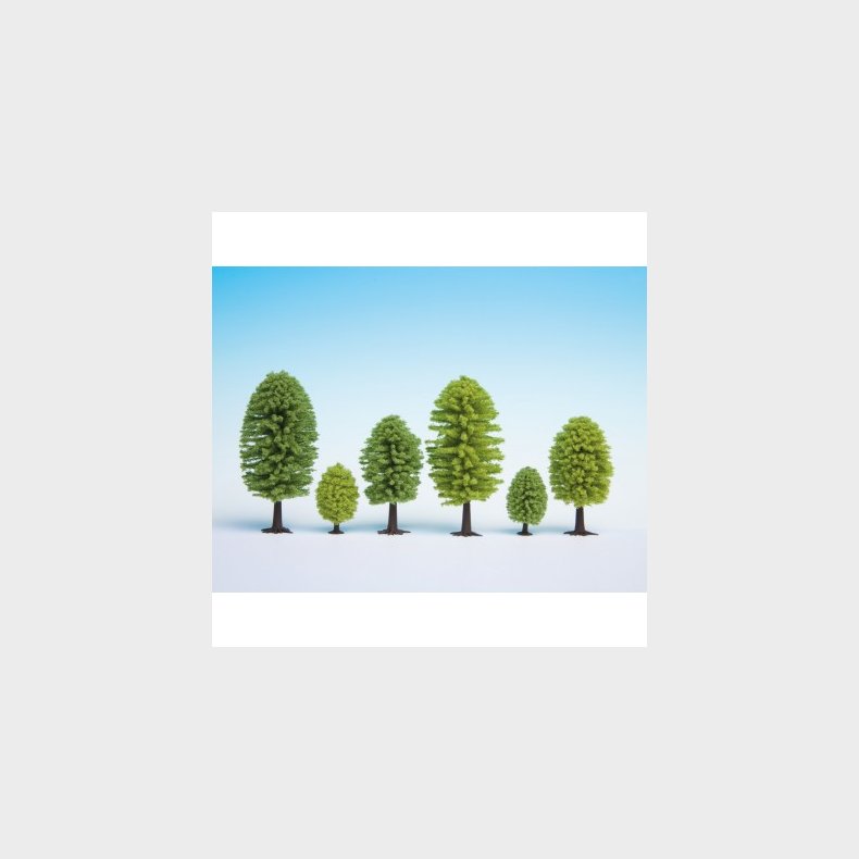 L�vtr�er 25 St&uuml;ck, 3,5 - 5 cm hoch