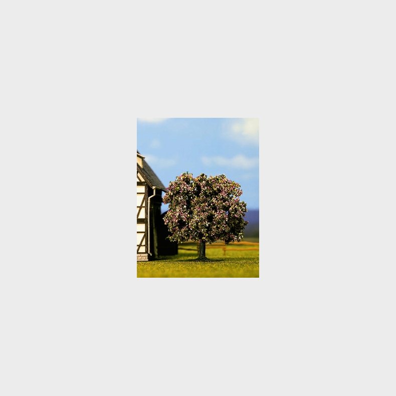 frugttr� h. 7,5 cm 