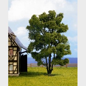 Akacietr h.15 cm NYHED