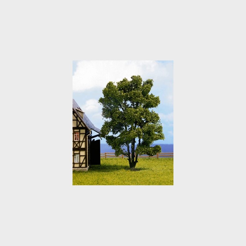 Akacietr h.15 cm NYHED