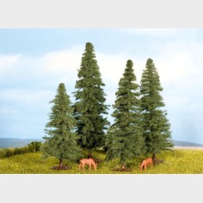 4 stk. Grantrer 8-12 cm